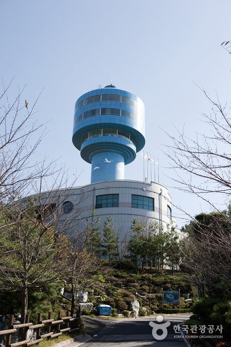 Observatoire des oiseaux migrateurs de Geumgang (금강철새조망대)