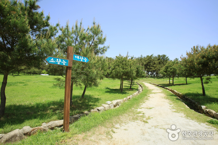 Ssangneung d’Iksan (익산 쌍릉)