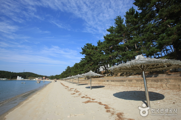Plage de Songho (송호해수욕장)