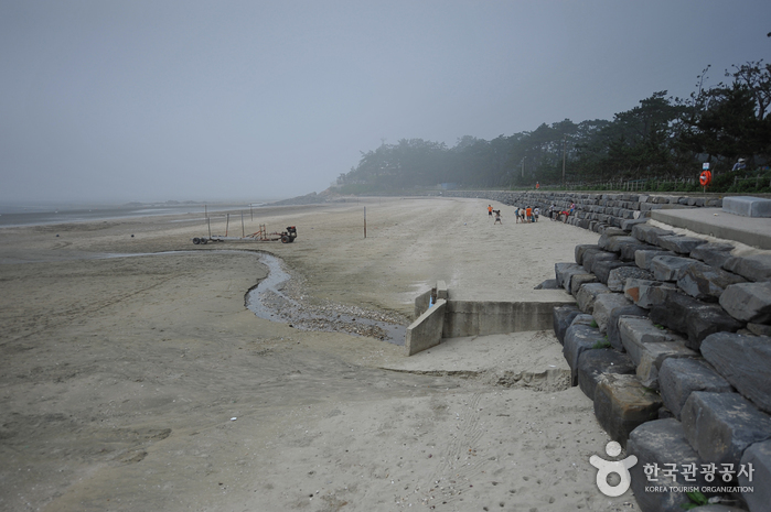 Plage de Dongho (동호해수욕장)
