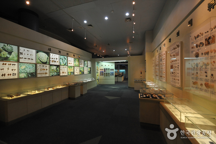 Musée des sciences de la mer et de la pêche à Jeollanamdo (전라남도해양수산과학관)