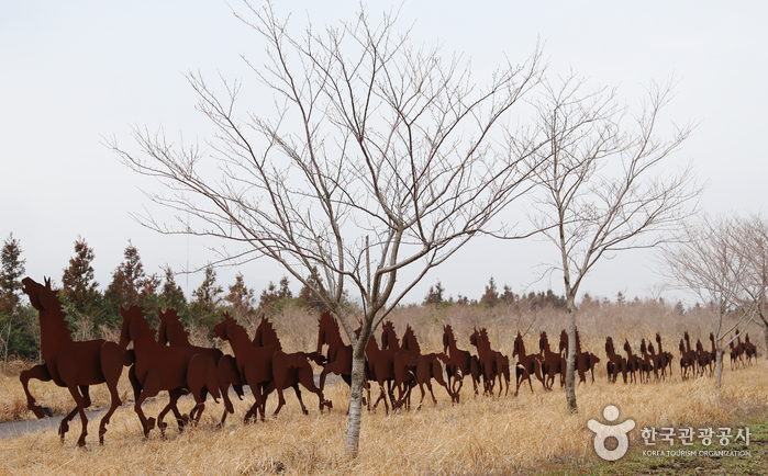 Parc de poney (조랑말체험공원)