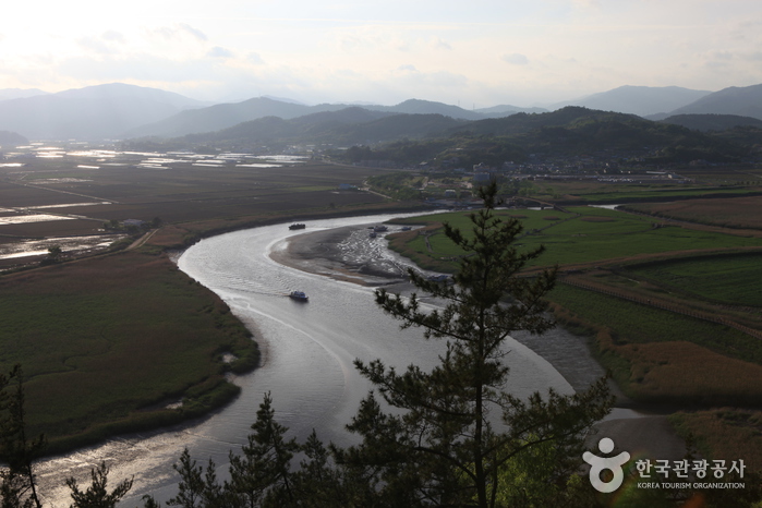 Observatoire de Yongsan de la baie de Suncheon – canal en forme de S (순천만 용산전망대 – S자 물길)