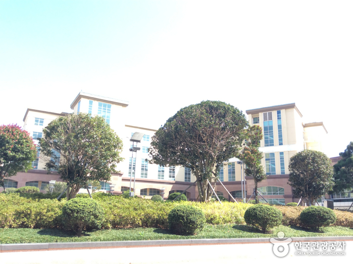 The Ocean Resort  (디오션리조트)