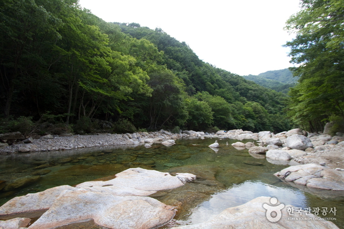 Vallée de Baemsagol (뱀사골계곡)