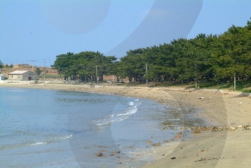 Plage de Jiri (지리해수욕장)