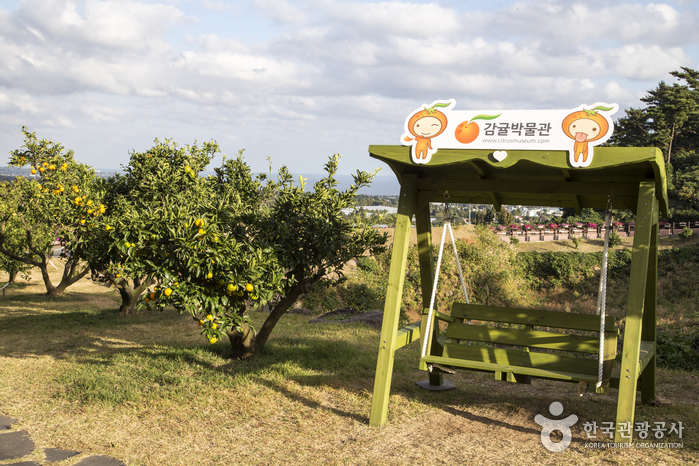 Musée de la mandarine