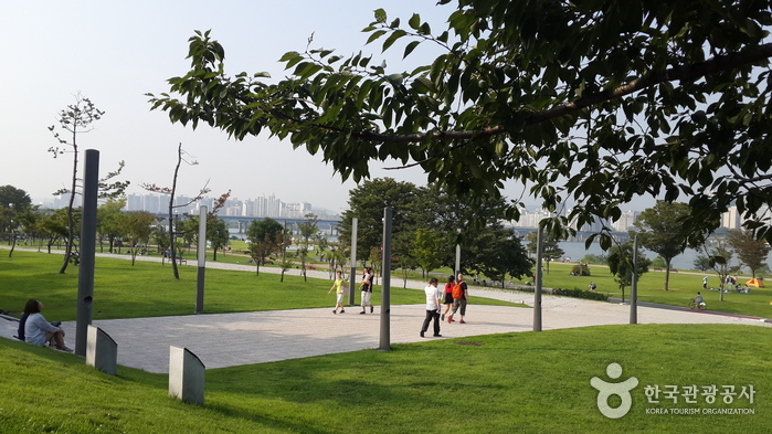 Parc de Yeouido Hangang (여의도한강공원)