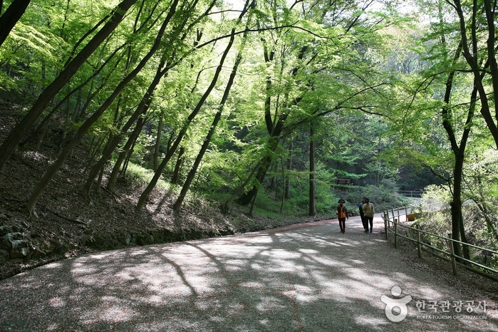 Parc Wansan (완산칠봉(완산공원))
