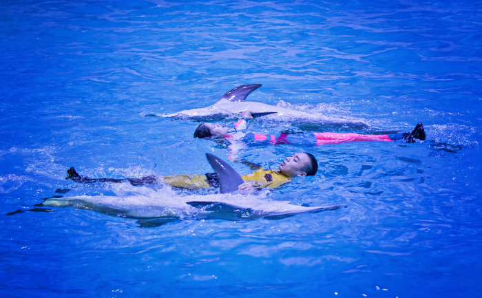 Pacific Land (퍼시픽랜드)