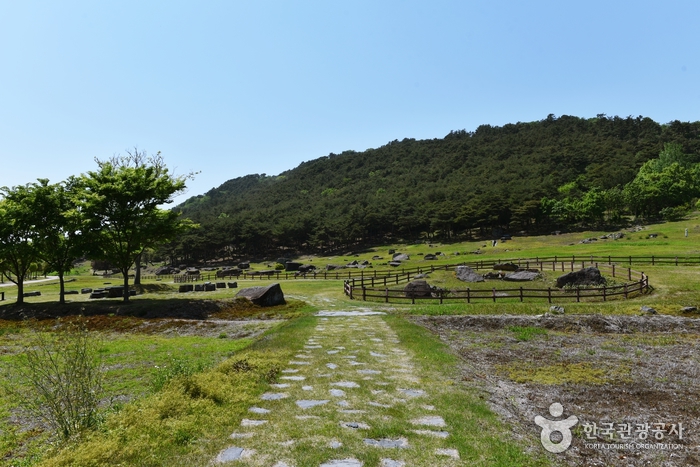 Gochang Dolmen [Patrimoine Mondial de l’UNESCO] (고창 고인돌 유적)