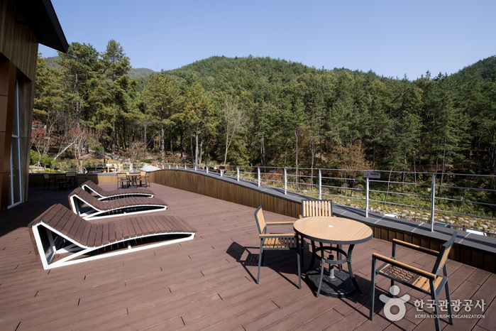 Forêt Baegunsan (백운산자연휴양림)