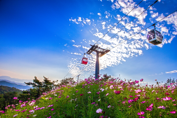 Téléphérique maritime de Mokpo (목포 해상케이블카)