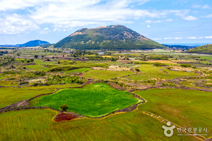 Darangshi Oreum (Pic Wollang) (다랑쉬오름 – 월랑봉)