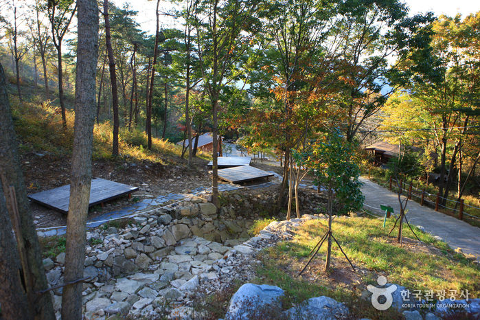 Forêt nationale du mont Cheongwansan (국립 천관산자연휴양림)