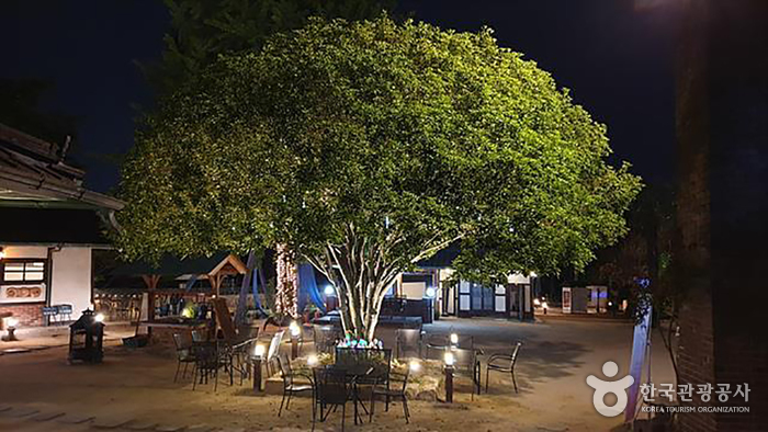 3917 Majung / 3917 마중