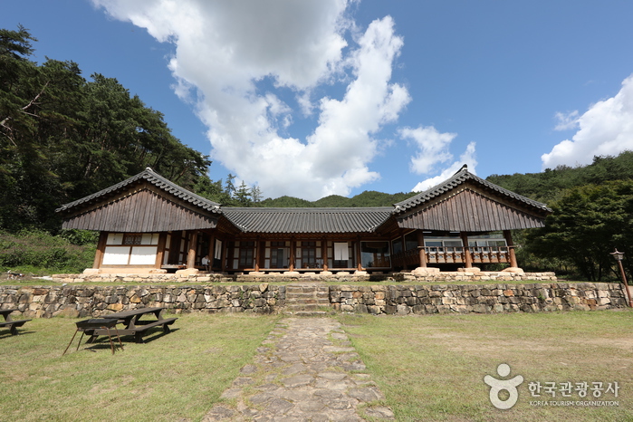 The Sum / 사단법인 한국천연염색 숨