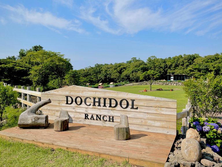 Ferme Dochidol (도치돌 알파카목장)