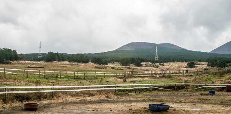 Cone volcanique Jokeunnokkome (족은노꼬메오름)