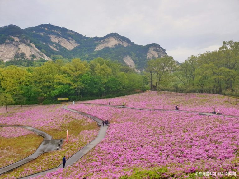 Jardin des papillonsde Buramsan (불암산나비정원)