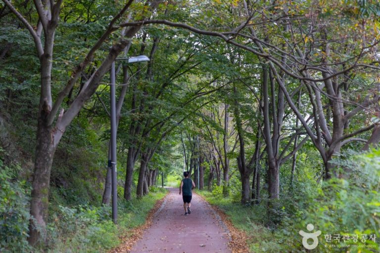 Route Baramsseoneun-gil (바람쐬는길)