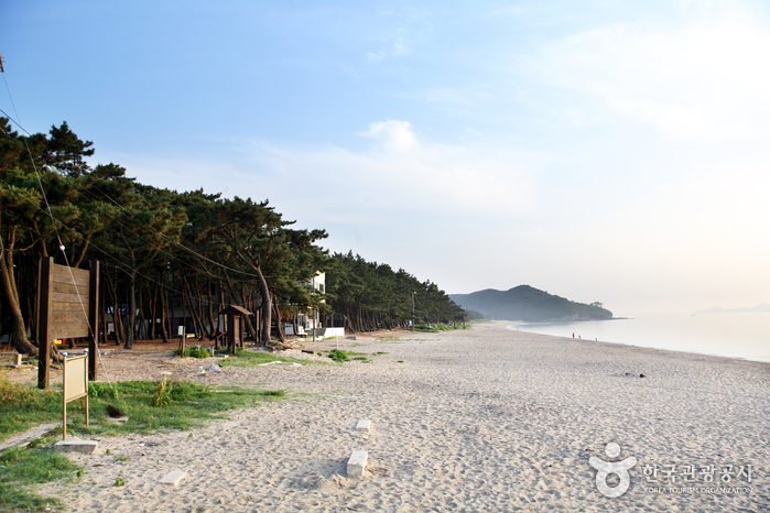 Plage de Gosapo (고사포해수욕장)