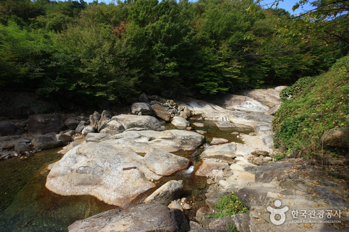 La vallée de Piagol (피아골계곡)