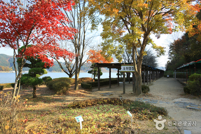 Réservoir de Yedang (예당저수지)