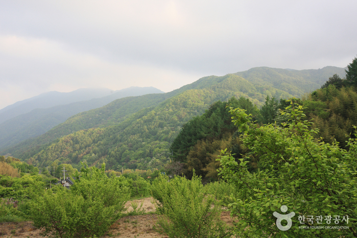 Parc National du Mt. Jirisan (Hadong) (지리산국립공원 – 하동)