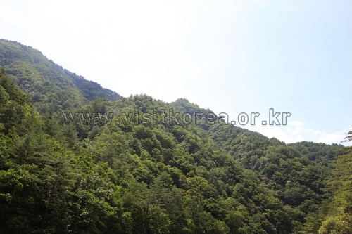 Mt.Eungbongsan (Uljin-gun) (응봉산 – 울진)