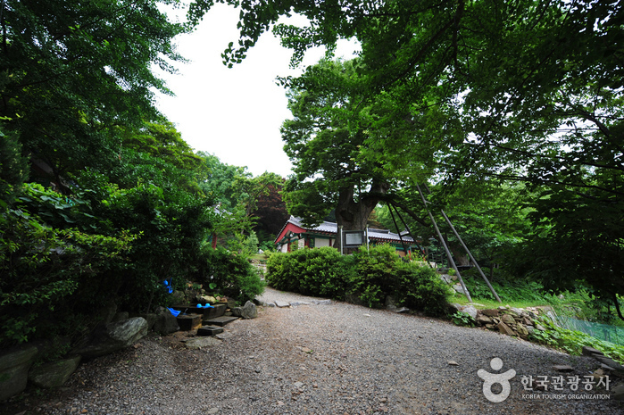 Temple Yonggungsa (Incheon) (용궁사 – 인천)