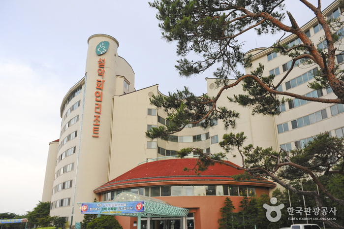 Seorak Pine Resort (설악파인리조트)