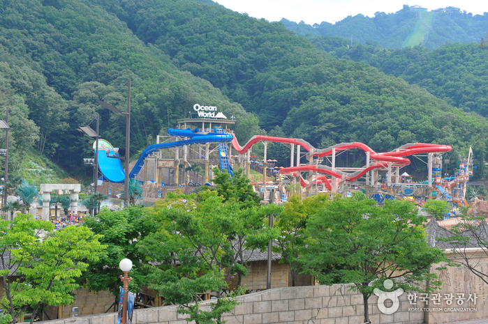 Vivaldi Park à Hongcheon (홍천 비발디파크)