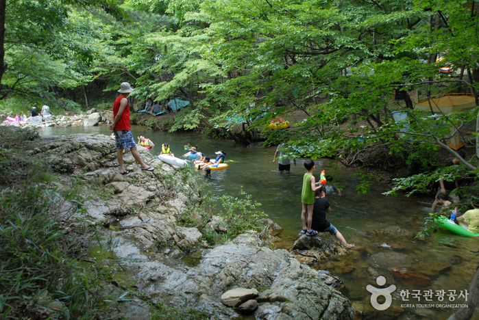 Forêt des loisirs de Nami (남이자연휴양림)
