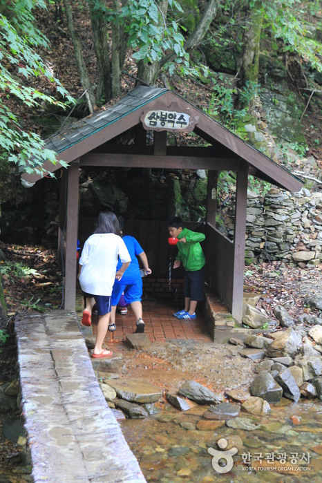 Source minérale Sambong (삼봉약수)