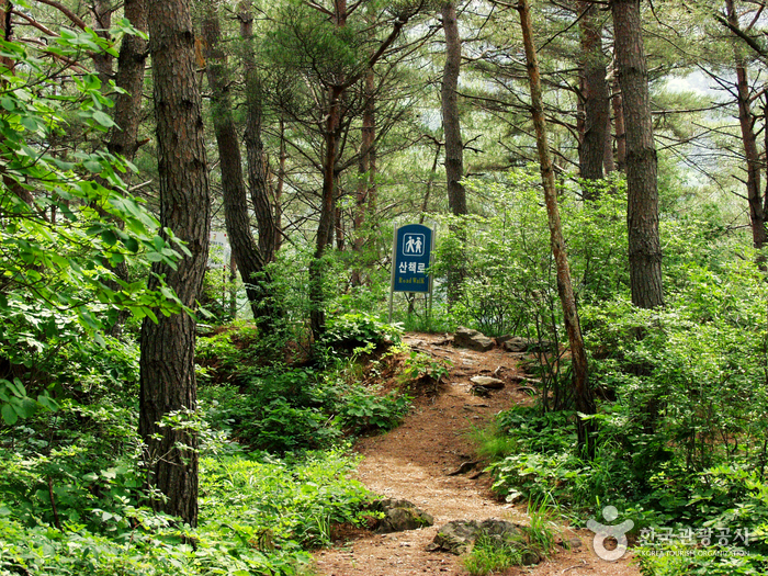 Falaise Molundae à Jeongseon (몰운대(정선))