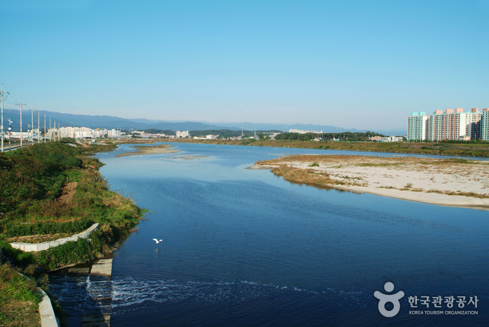 Rivière de Namdaecheon (Gangneung) (남대천(강릉))