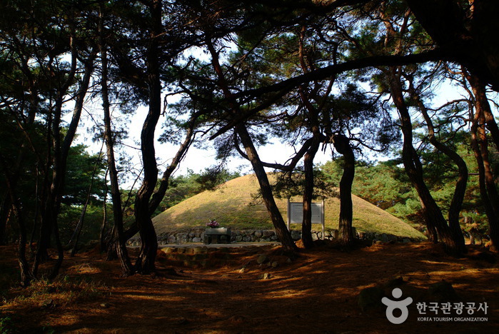 Tombeau Royal de la Reine Seondeok (경주 선덕여왕릉)