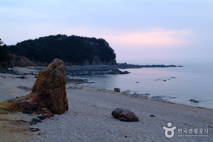Plage Padori (파도리해수욕장)