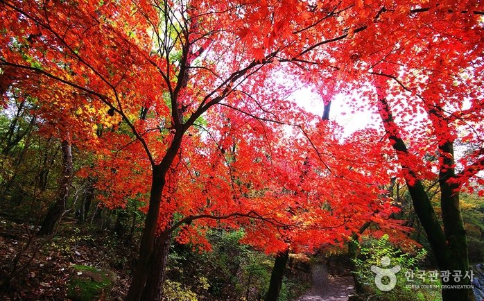 Mont Gwanaksan (관악산)