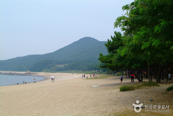 Plage Silmi (실미해수욕장)