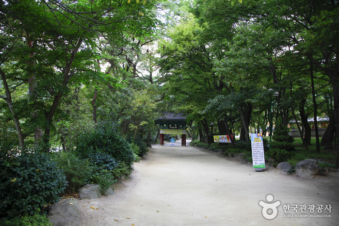 Parc provincal du Mt. Naeyeonsan (내연산군립공원)