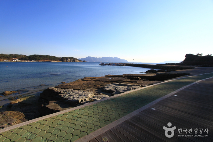 Fossiles de dinosaures et Empreintes d’oiseaux de Goseong (고성 덕명리 공룡과 새발자국 화석산지)