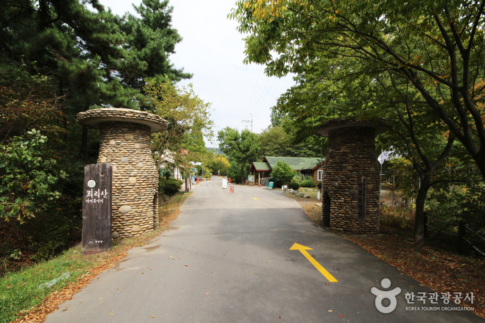 La Forêt du mont Huirisan (국립 희리산해송자연휴양림)