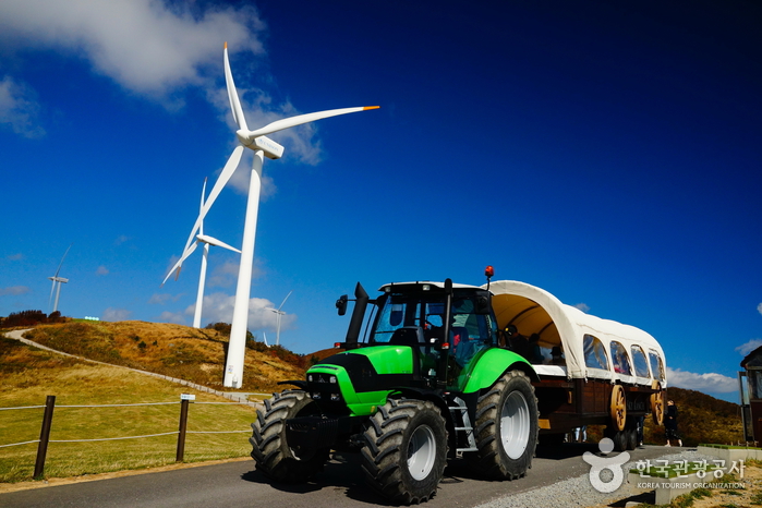 Zone de pâturage Haneul (대관령 하늘목장)