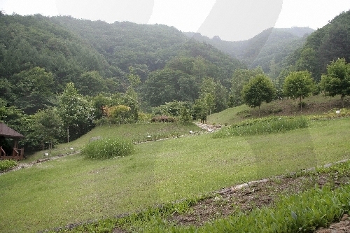 La Forêt de Chiaksan (치악산자연휴양림)