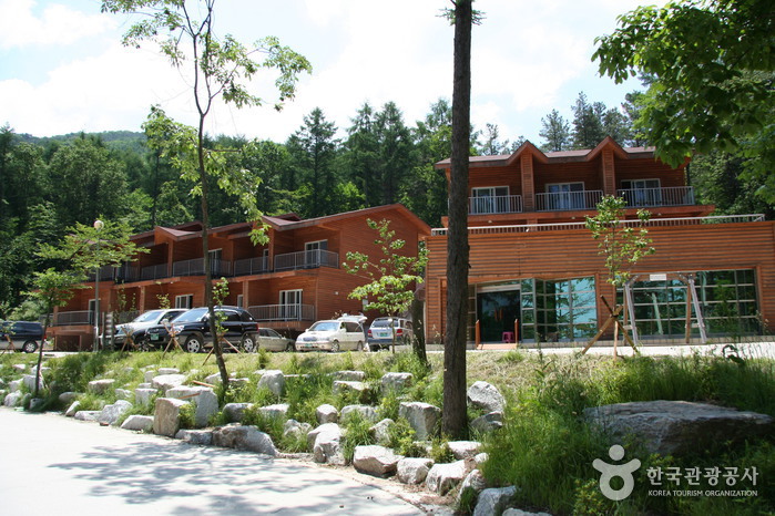 Forêt Yumyeongsan (유명산자연휴양림)