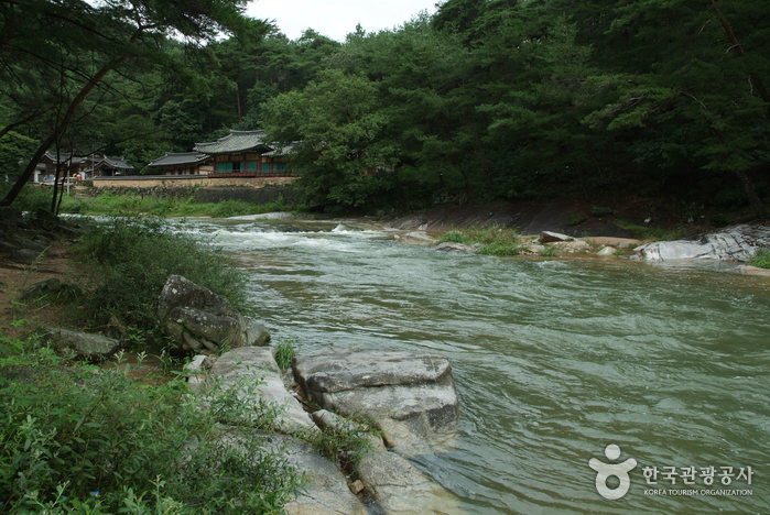 Vallée Seokcheon (석천계곡)