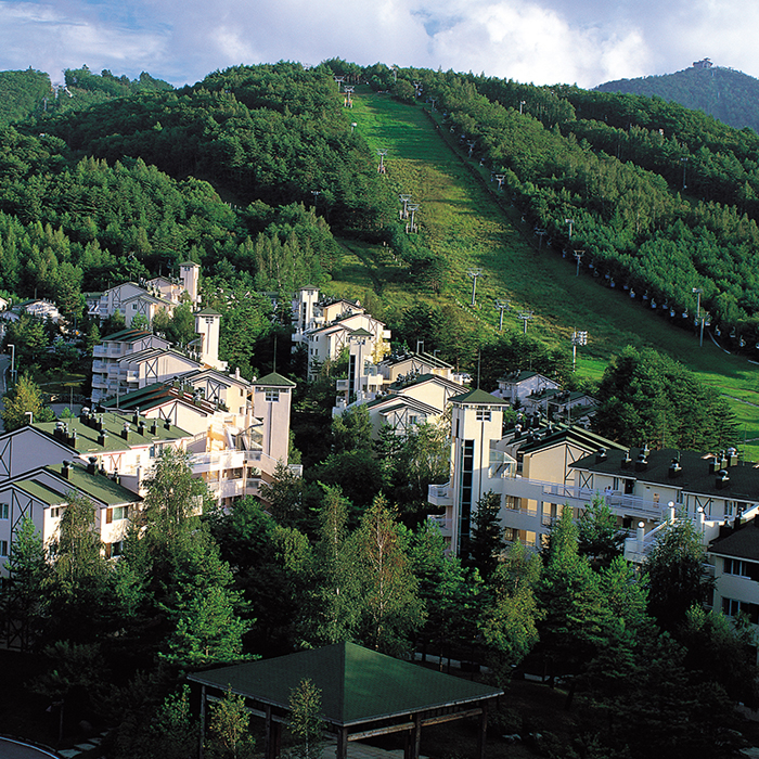 Yongpyong Resort Villa Condo (용평리조트 빌라콘도)
