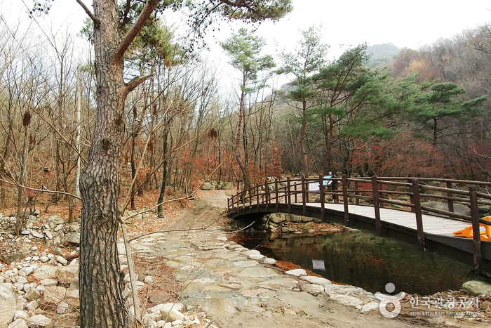 Parc National du Mt. Woraksan (월악산국립공원)